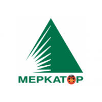 Меркатор Холдинг